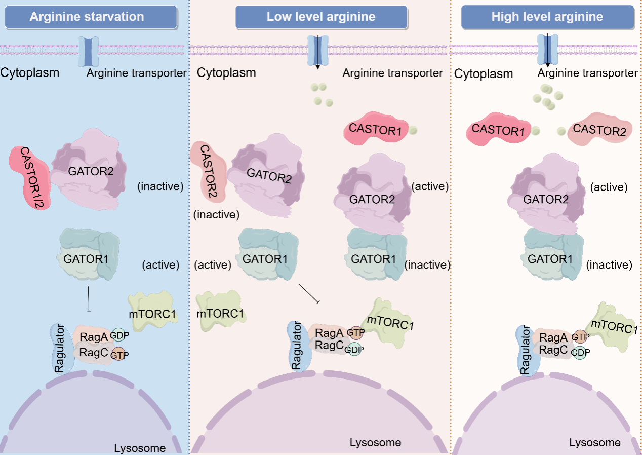 B305E975E2AA66B586849A41A4B_1293CDEE_17E24