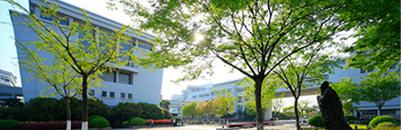 冰球突破-冰球电游奢华版_MG冰球游戏